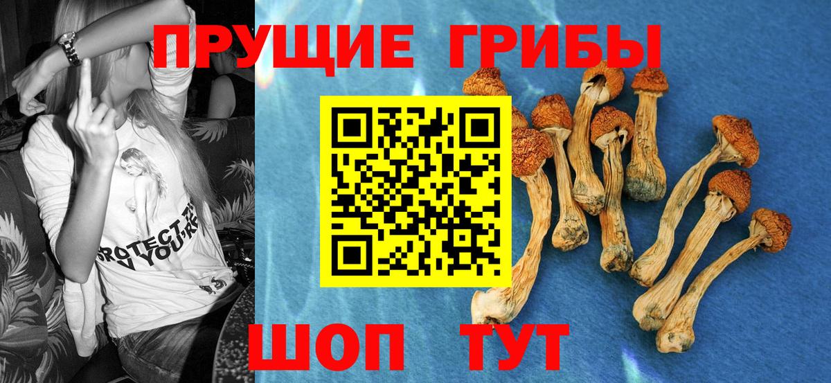 Оренбург  Псилоцибиновые грибы мухоморы  Вход с VPN 
